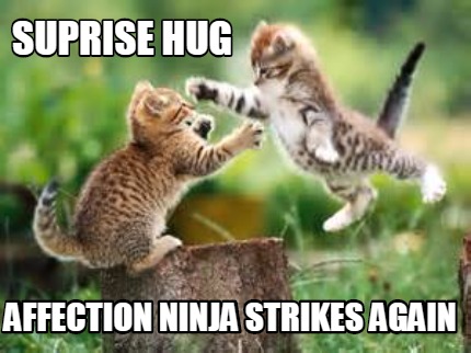 [Image: Suprise-hug-affection-ninja-strikes-agai...g-Meme.jpg]